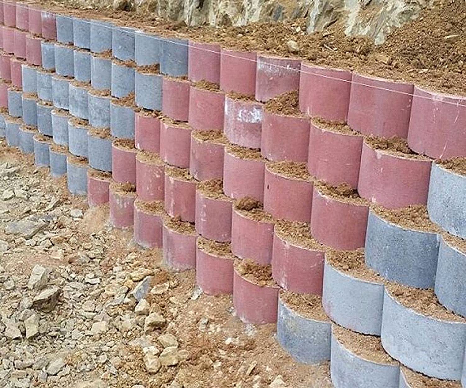 flora taşı görseli